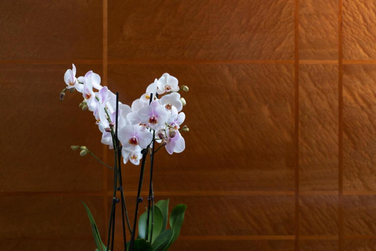 Como The Halkin London Ngoại thất bức ảnh